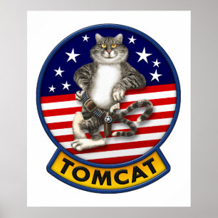 Poster Mascote de F-14 Tomcat