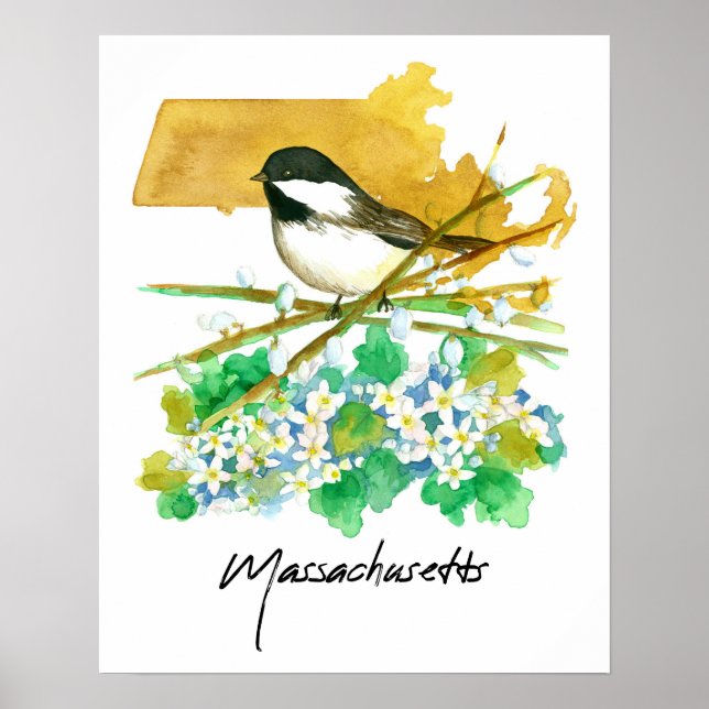 Poster Massachusetts Pássaro Chapim Galhos de Salgueiro (Frente)
