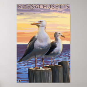 Poster Massachusetts Sea Gulls Scene