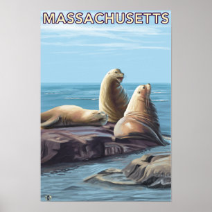 Póster MassachusettsSea Lions Scene