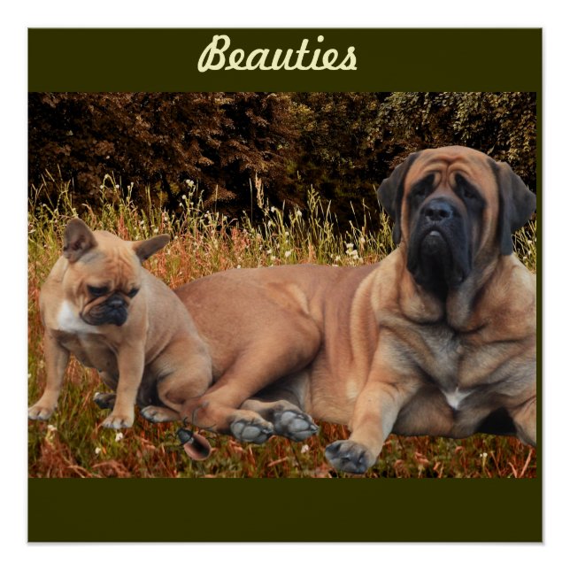 Póster Mastiff englische Dogge Vatertag (Frente)