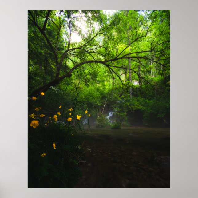 Poster Mata mágica com flores amarelas e cascata (Frente)