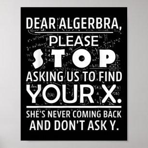 Poster Matemática Divertida Para Amantes de Matemática Ne