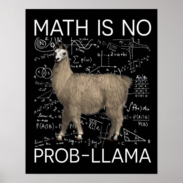 Poster Matemática não é Prob-Llama - Professor de Matemát (Frente)
