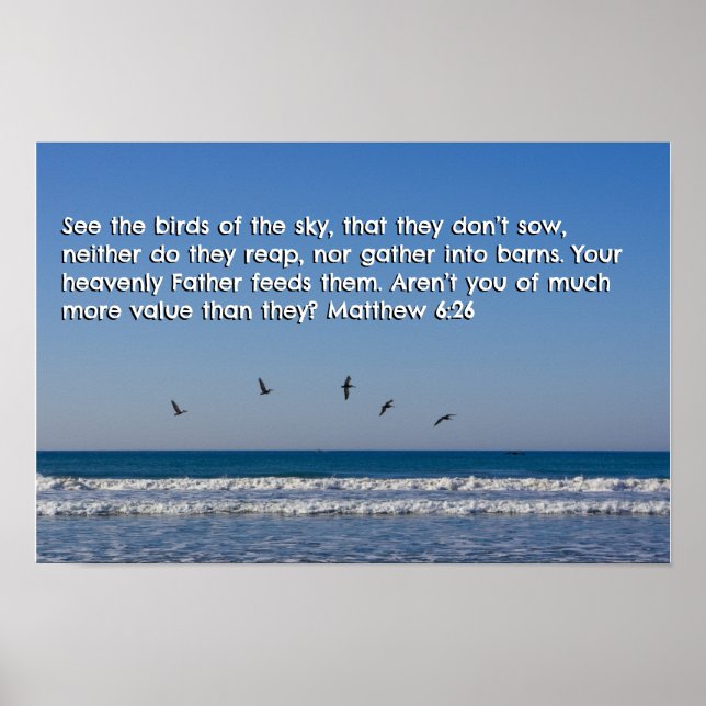 Poster Mateus 6:26 (Frente)