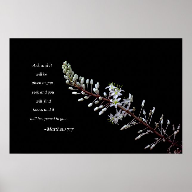 Poster Mateus 7:7 (Frente)