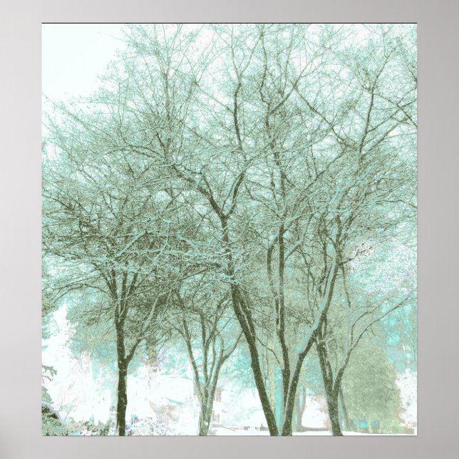 Poster Matizes de inverno (Frente)