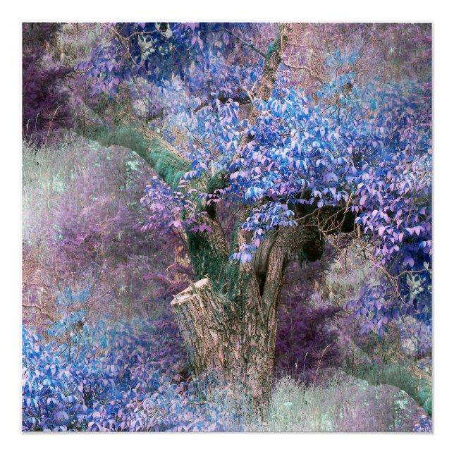 Póster Matizes de Primavera... (Frente)