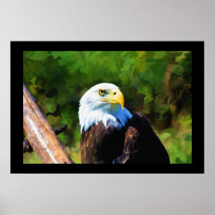 Póster Mature Bald Eagle Wildlife Painting