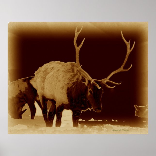 Póster mau 2 osso (Frente)