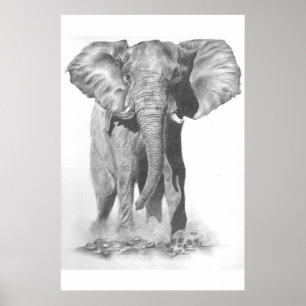 Póster Mau grande e perigoso saber