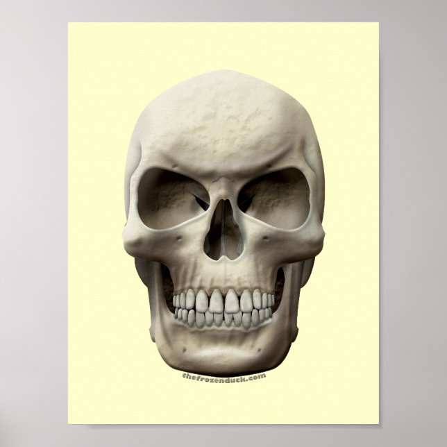 Póster Mau Skull (Frente)