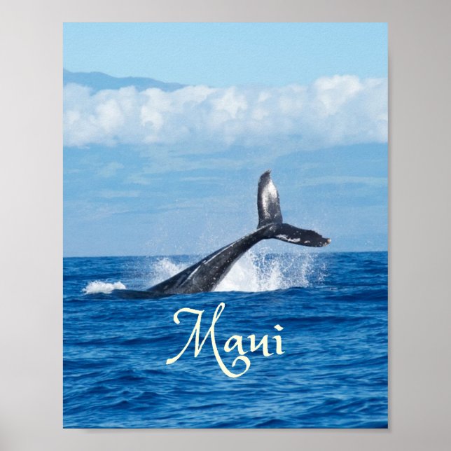 Poster Maui Hawaii Ocean Whale Tail (Frente)