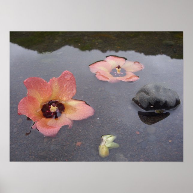 Póster Maui Zen (Frente)