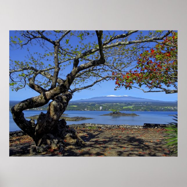 PÓSTER MAUNA KEA OVER HILO BAY (Frente)