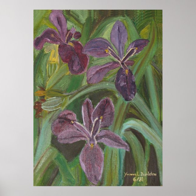 Póster Mauve LA Iris (Frente)