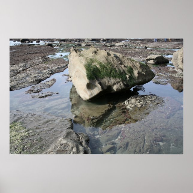 Póster Mavericks (Frente)