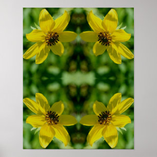 Poster Maximilian Sunflower Floral Abstrato