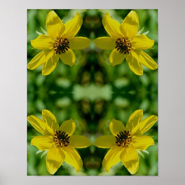 Poster Maximilian Sunflower Floral Abstrato (Frente)