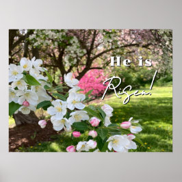 Poster May Flowers Pink Easter