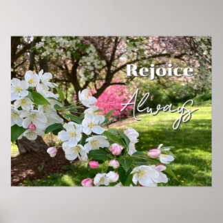 Poster May Flowers Pink Rejoice Always