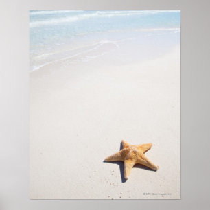 Poster Maya de Riviera