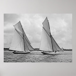 Póster Mayflower e Galatea dão início à Copa da América d