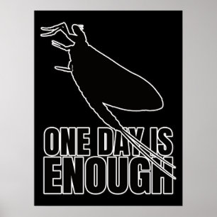 Poster Mayflower One Day Voa - Geek de Entomologia