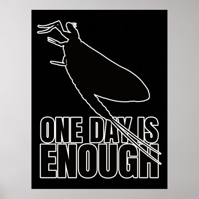 Poster Mayflower One Day Voa - Geek de Entomologia (Frente)