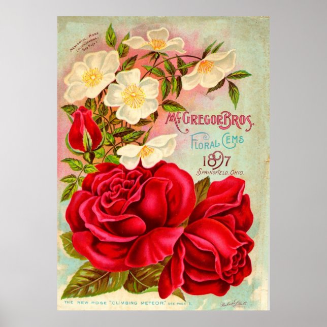 Poster McGregor Bros. Floral Gems Advertisement (Frente)