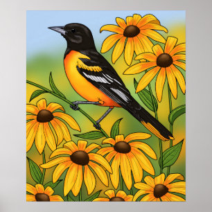 Poster MD State Bird Oriole e Susan Flower de olhos negro