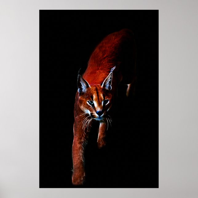 Poster Me Trouxe (Frente)