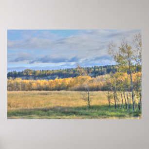 Poster Meadow com Aspens