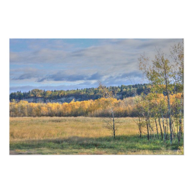 Póster Meadow com Aspens (Frente)