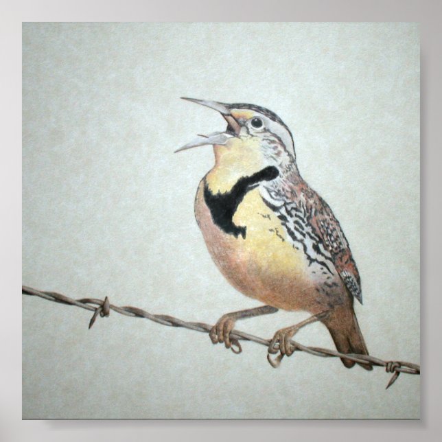 Póster Meadowlark (Frente)