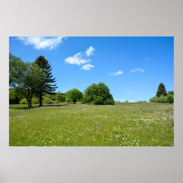 Poster Meadows idyll (Frente)