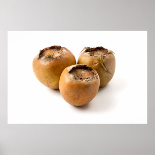 Poster Medalha comum