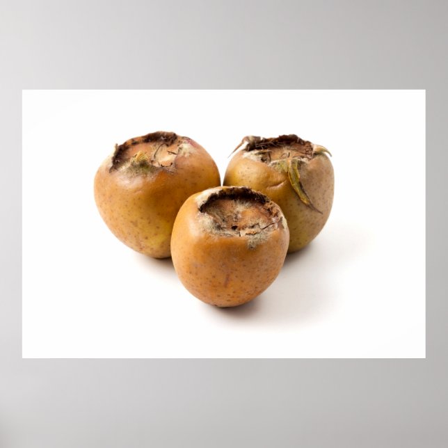 Poster Medalha comum (Frente)