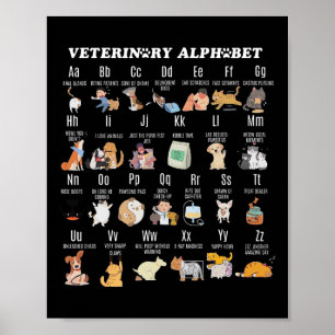 Poster Medicina Veterinária Alfabeto Enfermeiro Enfermeir
