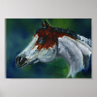 Póster Medicine Hat Pinto Horse