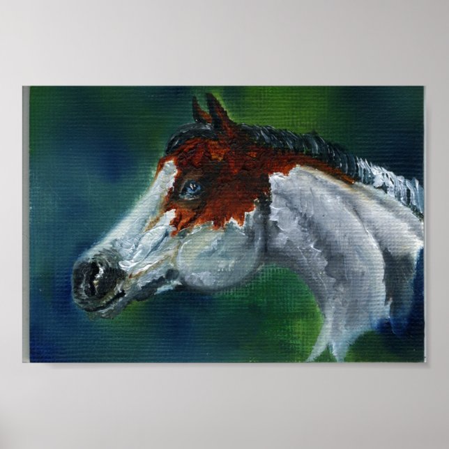 Póster Medicine Hat Pinto Horse (Frente)