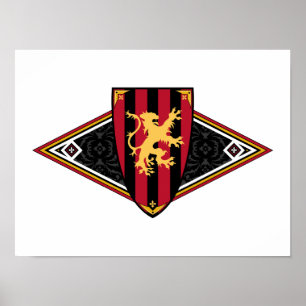 Poster medieval do protetor