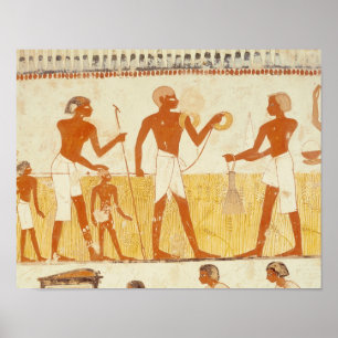 Poster Medindo a terra usando a corda