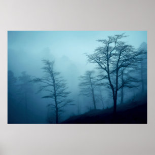 Poster Meditação de Paisagem Florestal Calmo Sereno