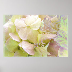 Póster Meditação, Hydrangea Opalescent