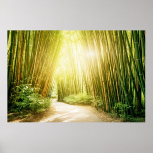 Poster Meditação Serena de Paisagem Bamboo