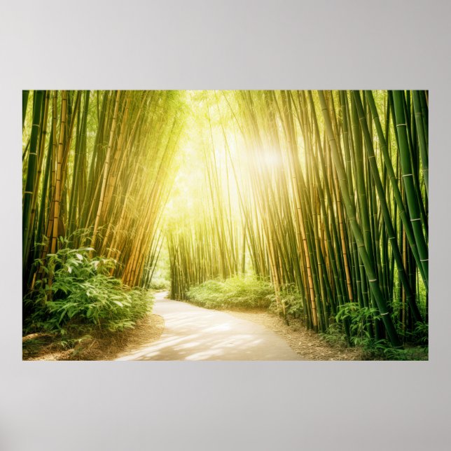 Poster Meditação Serena de Paisagem Bamboo (Frente)