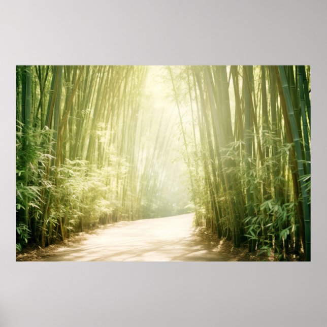 Poster Meditação Serena de Paisagem Bamboo (Frente)
