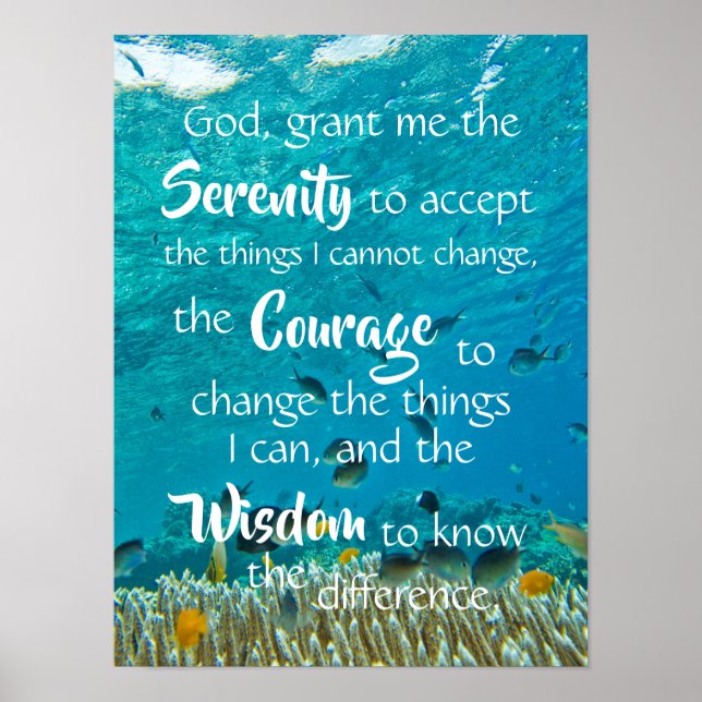 Poster Meditação Serenity Prayer Ocean Fish (Frente)