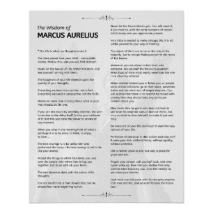 Póster Meditações Estáticas Marcus Aurelius. Poster Brilh